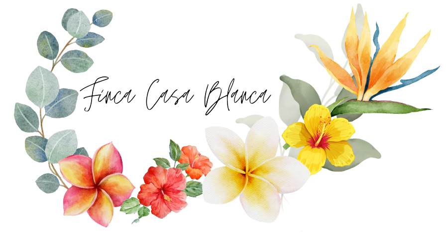 Two business cards showing the front and the back of the card.